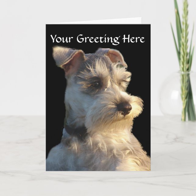 Cartão Miniature Schnauzer Card (Frente)