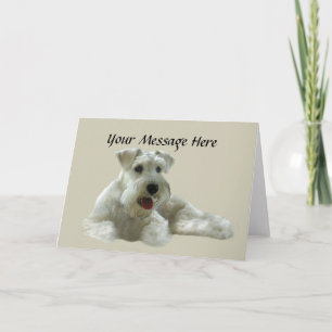 Cartão Miniature Schnauzer Greeting Card