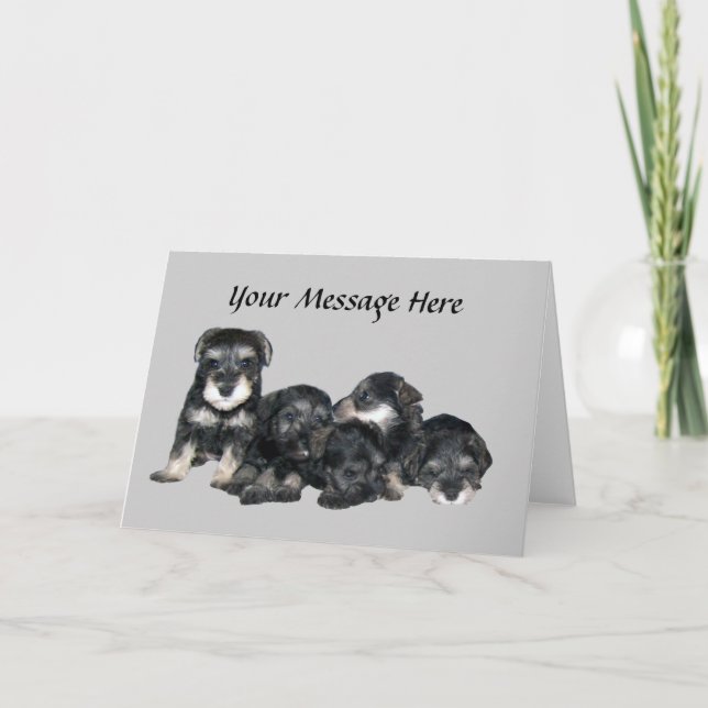 Cartão Miniature Schnauzer Greeting Card (Frente)