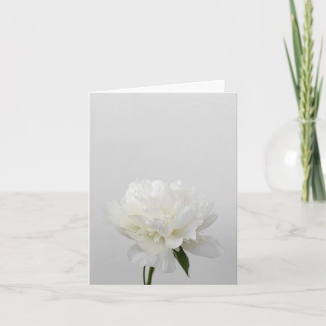 Cartão Minimalist flower card with white peony (Frente)