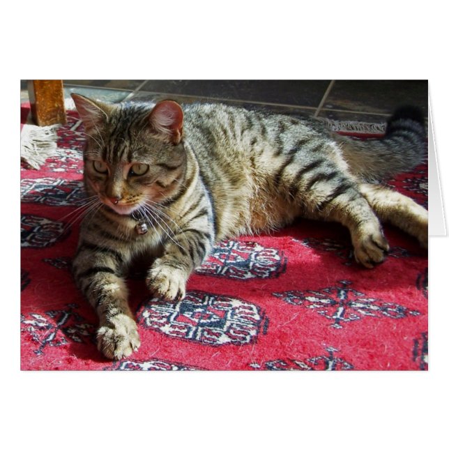 Cartão Minnie in Sunshine2 (Frente Horizontal)