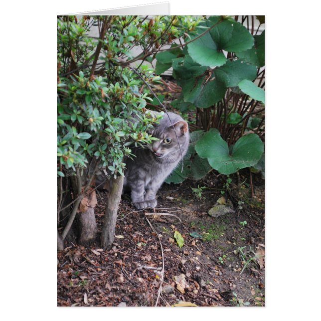 Cartão Minnie no jardim (Frente)