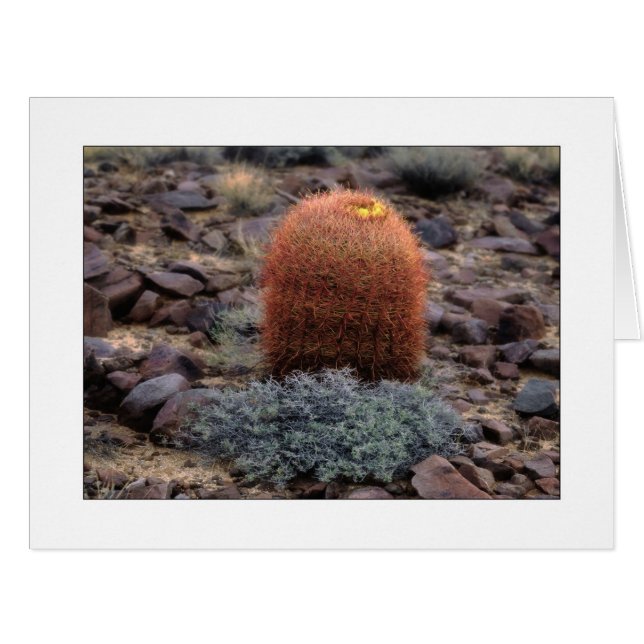 Cartão "Minúsculos" (Frente horizontal)