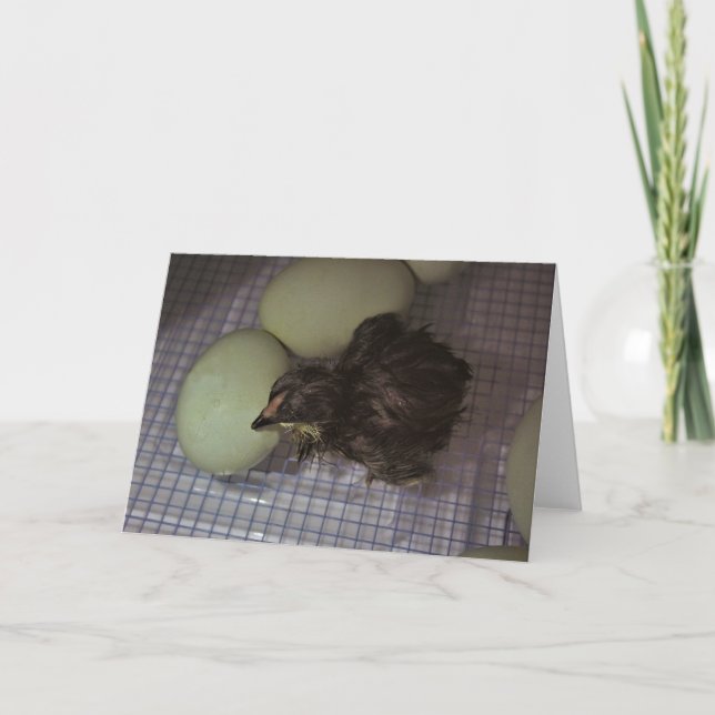 Cartão Minutos Antigo (Frente)