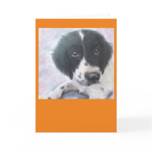 Miss Fannie -  English Springer Spaniel - Card