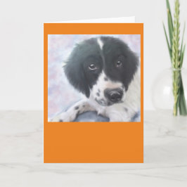 Cartão Miss Fannie - English Springer Spaniel - Card