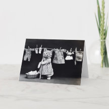 Miss Kitten Fazendo Lavagem