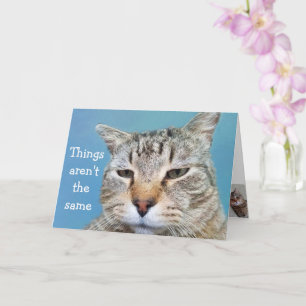 Cartão Miss Solitário Cat