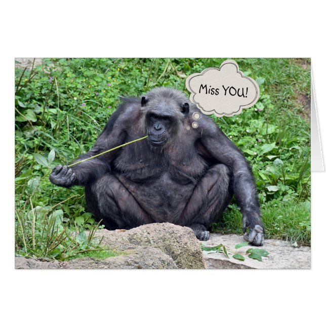 Cartão Miss You Chimpanzee (Frente Horizontal)