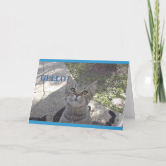 Cartão Miss You kitty card