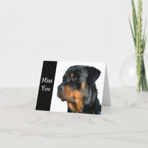 Cartão Miss You Rottweiler Dog Greeting Card - Verse