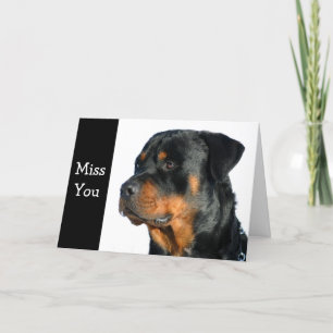 Cartão Miss You Rottweiler Dog Greeting Card - Verse