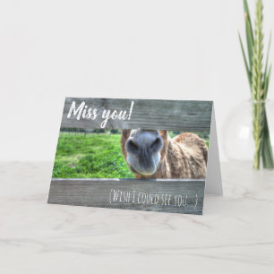 Cartão Miss You Wish I Could See You Blank