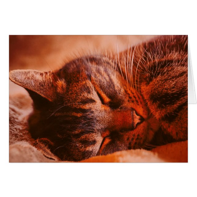 Cartão Missing Free (Frente Horizontal)