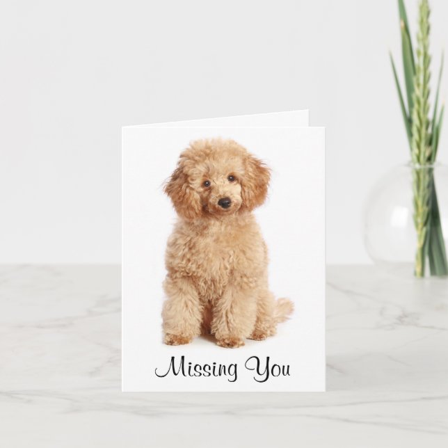 Cartão Missing You Apricot Poodle Puppy Dog Card (Frente)
