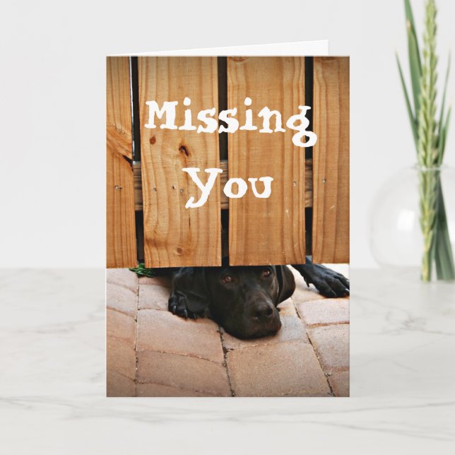 Cartão Missing You (Black Lab) (Frente)