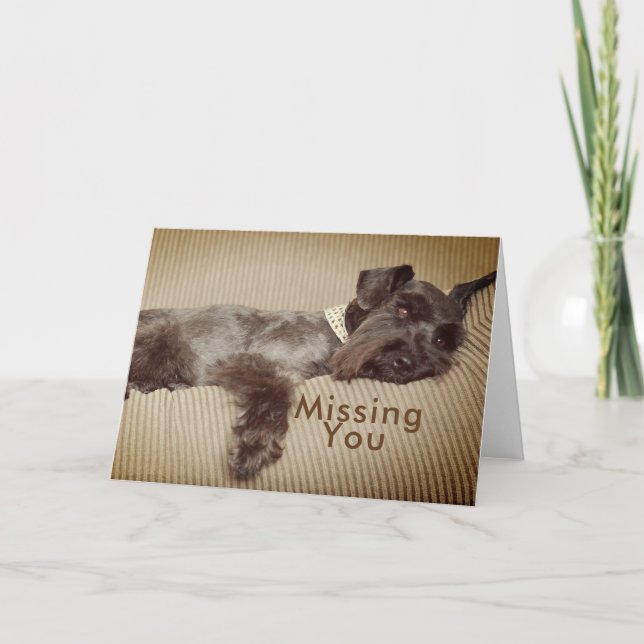 Cartão Missing You Black Miniature Schnauzer (Frente)