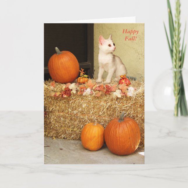 Cartão Missing You Halloween Kitten & Pumpkins Card (Frente)
