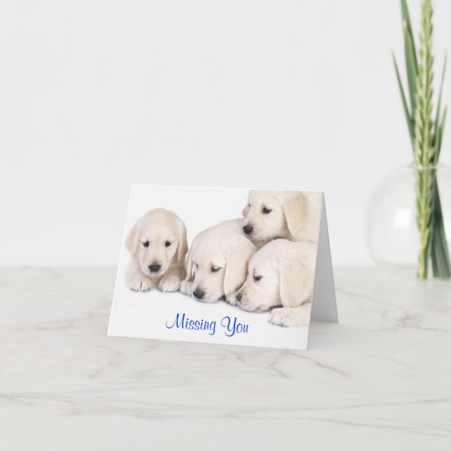 Cartão Missing You Labrador Retriever Puppies Card (Frente)