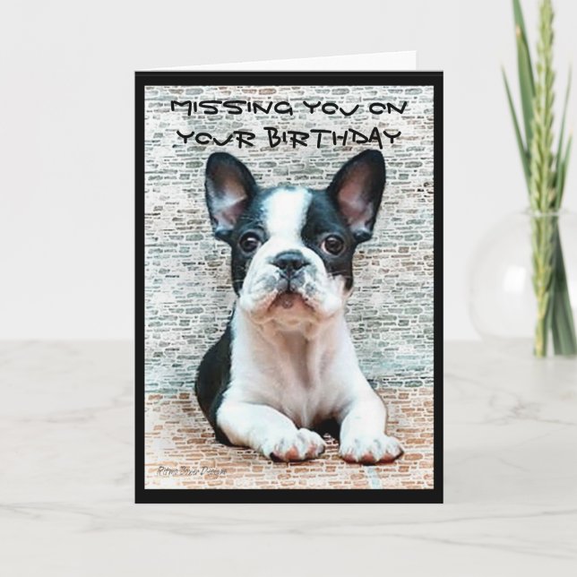 Cartão Missing you on your Birthday French Bulldog card (Frente)