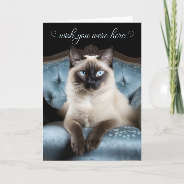 Cartão Missing You Siamese Cat on a Blue Chair (Frente)