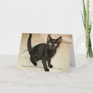 Cartão Missy Notecards