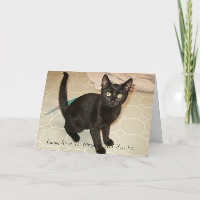 Cartão Missy Notecards (Frente)