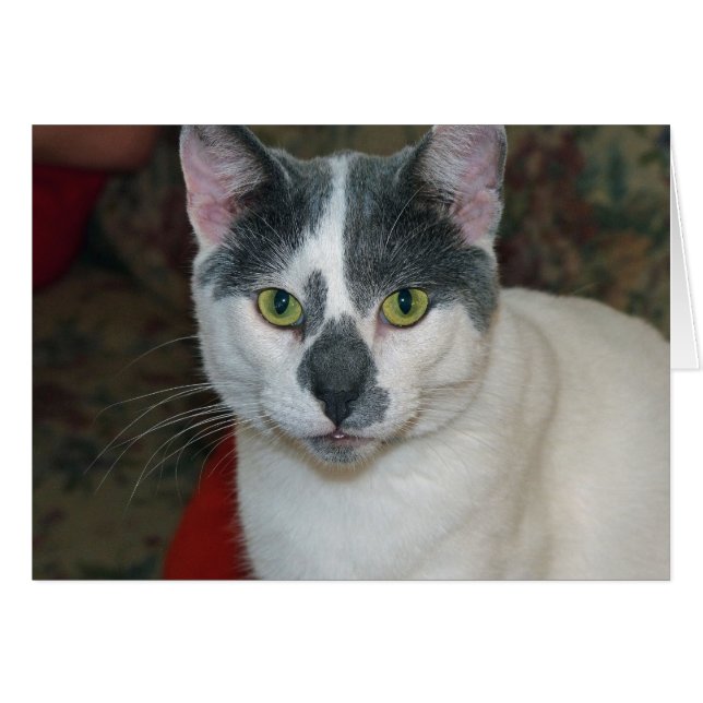 Cartão Mister Pants (Frente Horizontal)