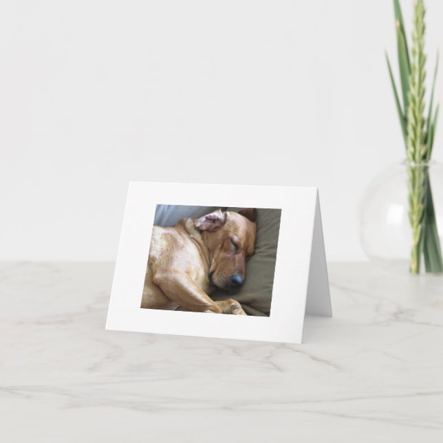 Cartão Mistura do cão de Rhodesian Ridgeback Labrador (Frente)