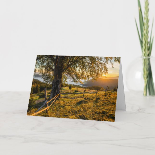 Cartão Misty Dawn in a Forest (Frente)