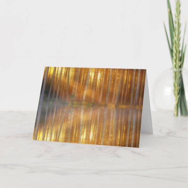 Cartão Misty Forest Scene (Frente)