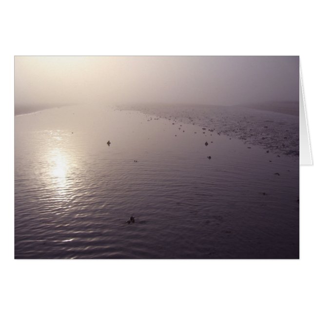 Cartão Misty sunset (Frente Horizontal)