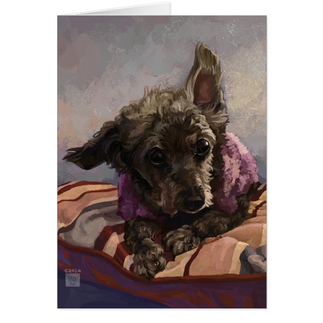 Cartão Misty the Poodle (Frente)