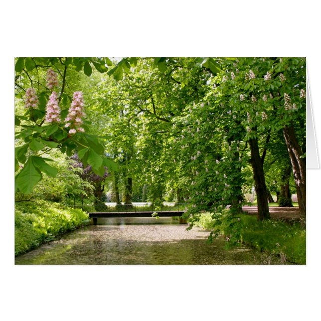 Cartão Moat na Dinamarca (Frente Horizontal)