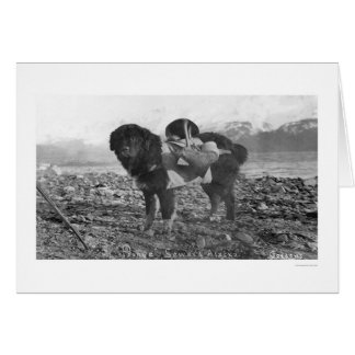 Cartão Mochilando Cachorro, Alasca 1911