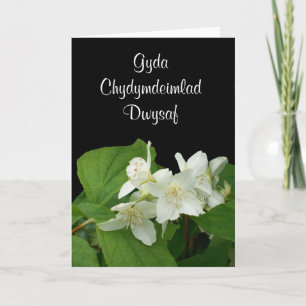 Cartão Mock Orange Sympathy Card - Welsh Greeting