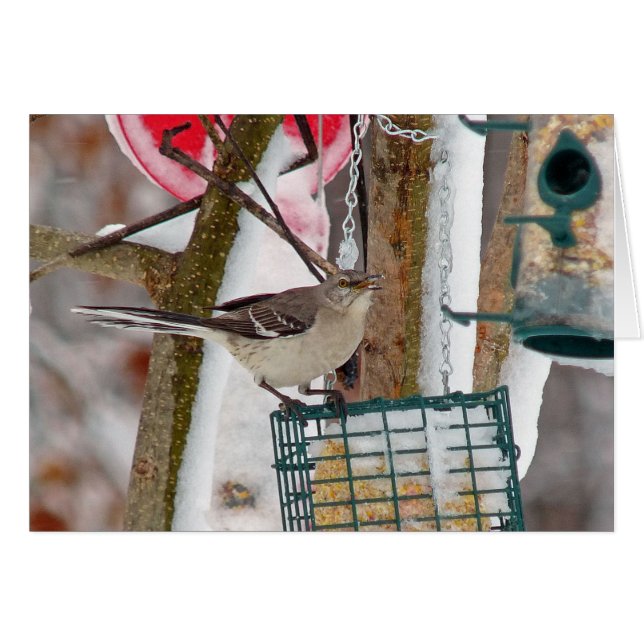 Cartão Mockingbird (Frente Horizontal)