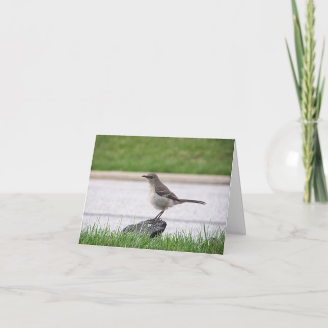 Cartão Mockingbird (Frente)