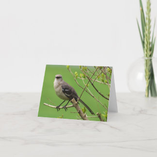 Cartão Mockingbird Note Card