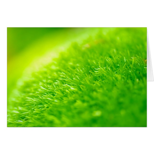 Cartão Moda verde (Frente Horizontal)