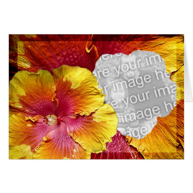 Cartão Modelo 1 do hibiscus (Frente Horizontal)