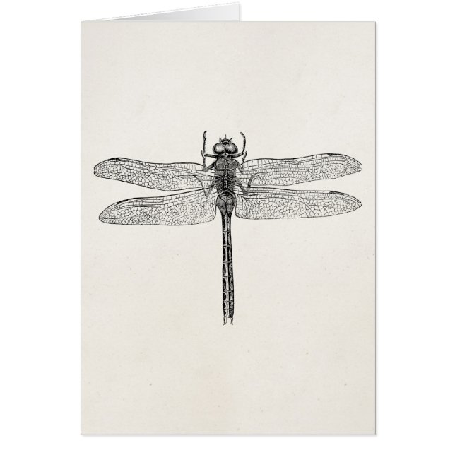 Cartão Modelo americano da mosca do dragão da libélula do (Frente)