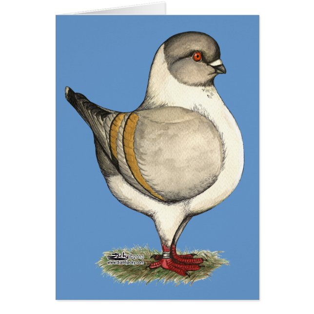 Cartão Modena Silver Gazzi (Frente)