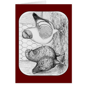 Cartão Modenas Dois