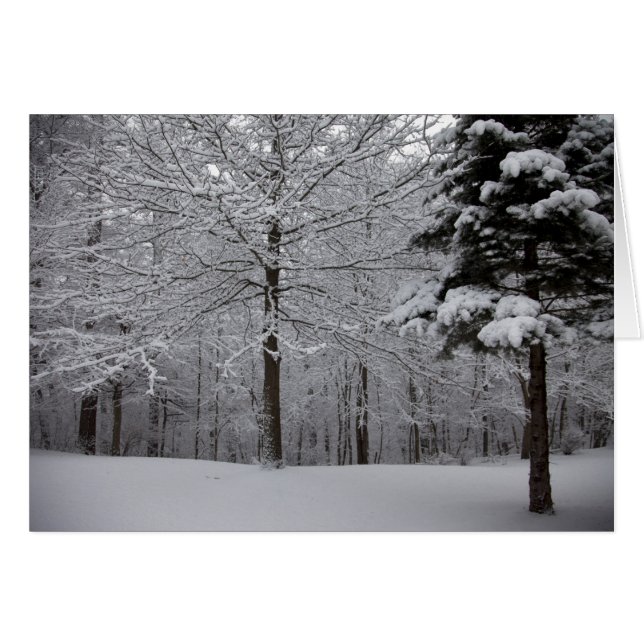 Cartão Modo de Exibição de Woods (Frente Horizontal)