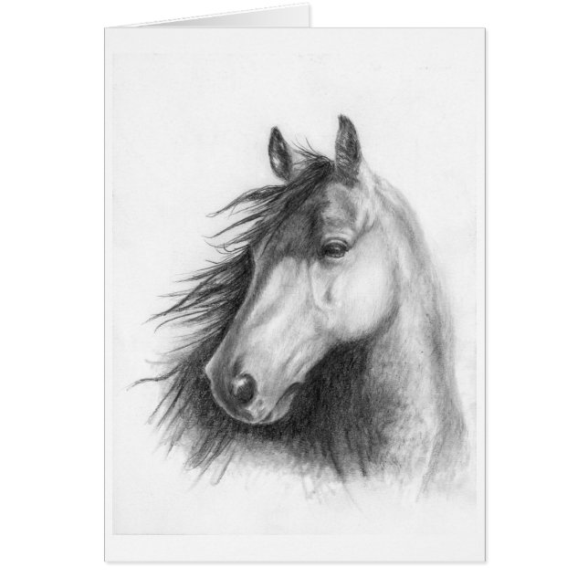 Cartão Moe Morgan (Frente)