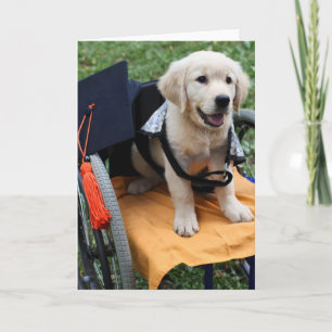 Cartão Moeda de um centavo graduada