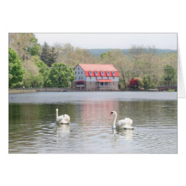 Cartão Moinho no verão com as 2 cisnes na lagoa
