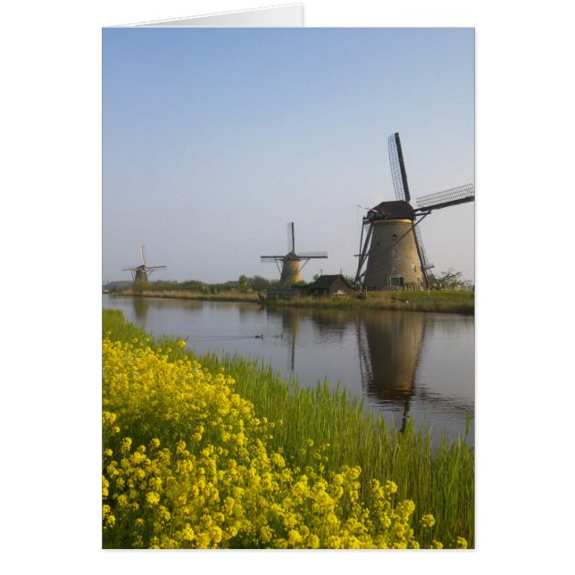 Cartão Moinhos de vento ao longo do canal em Kinderdijk, (Frente)