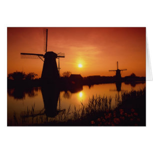 Cartão Moinhos de vento ao pôr do sol, Kinderdijk, Holand